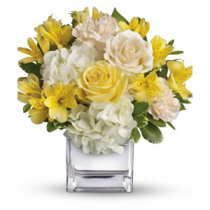 Morristown Florist | Bright Collection