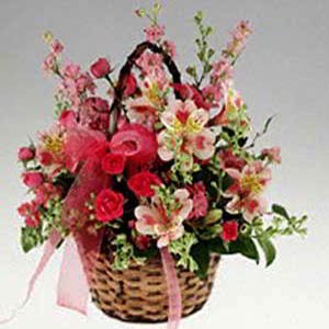 Morristown Florist | Basket of Pinks