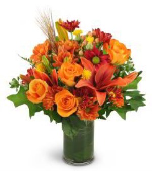 Morristown Florist | Autumn Beauty