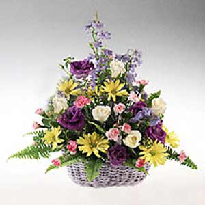 Morristown Florist | Delphinium Delight