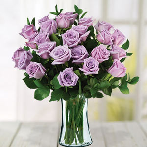 Morristown Florist | 24 Lavender Roses