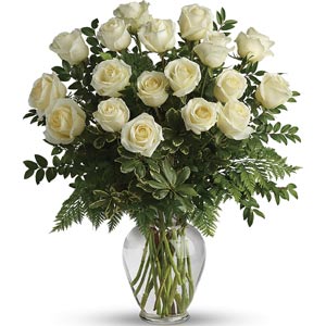 Morristown Florist | 18 White Roses