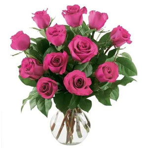 Morristown Florist | 12 Bright Pink Roses