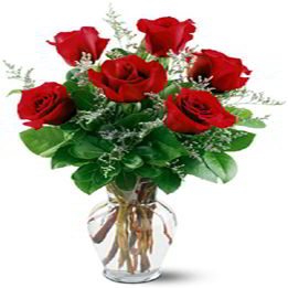 Morristown Florist | Six Red Roses
