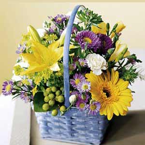 Morristown Florist | Beautiful Basket