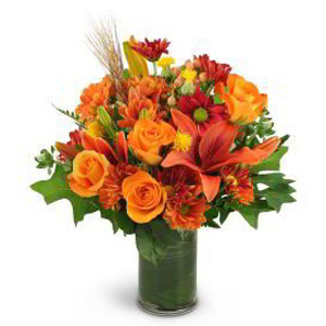 Morristown Florist | Autumn Beauty