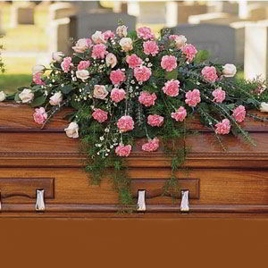 Morristown Florist | Elegant Pink