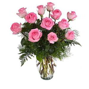 Morristown Florist | 12 Pink Roses 