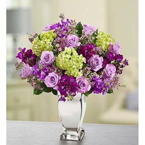 Morristown Medical Center | Lavender Collection