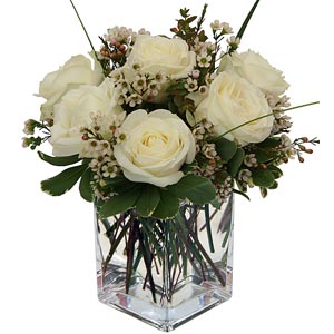 Morristown Florist | 6 White Roses