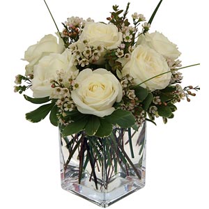 Garden Terrace Nursing Home  | 6 White Roses