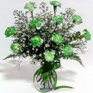Morristown Florist | Dz Green Carnations