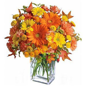 Morristown Florist | Autumn Gathering