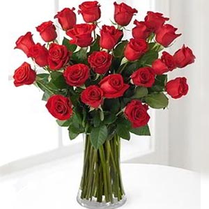 Morristown Florist | 24 Red Roses
