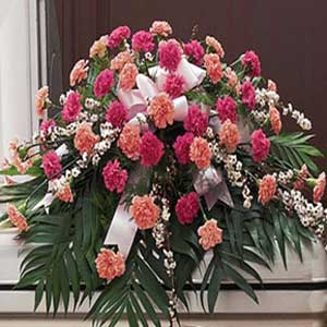 Dangler Lewis Carey Funeral Home  | Pink Casket Cover
