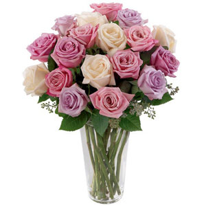 Morristown Florist | 18 White & Lavender Roses