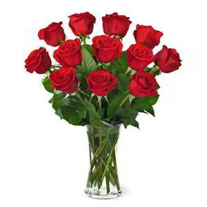 Morristown Florist | Dz Red Roses