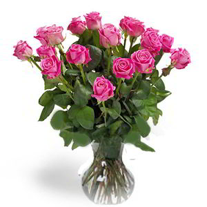 Morristown Florist | 18 Pink Roses