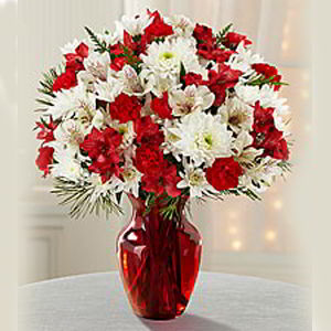 Morristown Florist | Christmas Joy