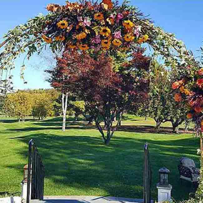 Garden Arch